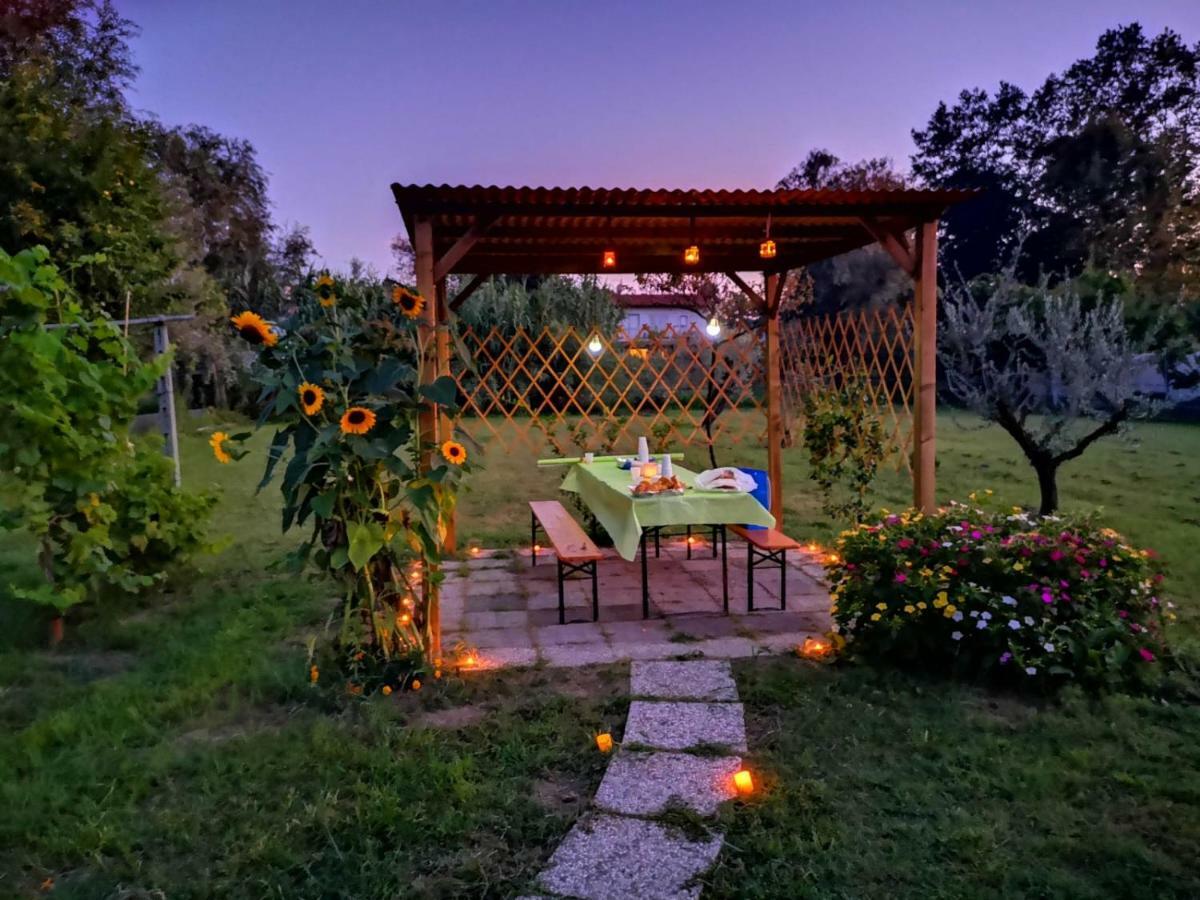 Nonna Piera Bed & Breakfast Marina Di Carrara Exterior photo